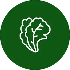 Rau