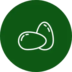 Bơ và Trứng