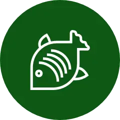 Hải sản